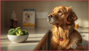when should dogs avoid broccoli