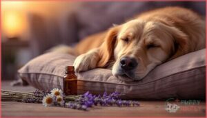 when to use melatonin in dogs