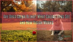 are dogs color blind and what colors can they see are dogs color blind and what colors can they see