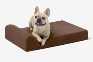 Barker Beds Small Orthopedic Dog B00DP5W85M