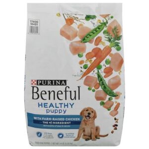Beneful Purina Healthy Puppy Dry B08GJFZN98