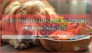 best food for aging dogs