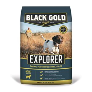 Black Gold Explorer Dry Dog B07B1DH87P
