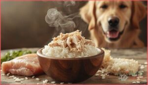 boiled chicken and white rice boiled chicken and white rice