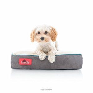 Brindle Khaki Shredded Memory Foam B015ELWDIG