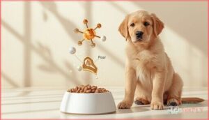 calcium and phosphorus for strong bones calcium and phosphorus for strong bones