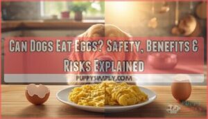 can dogs eat eggs can dogs eat eggs