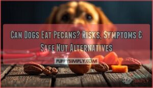can dogs eat nuts pecans can dogs eat nuts pecans