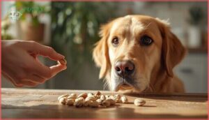 can dogs eat pistachios safely can dogs eat pistachios safely