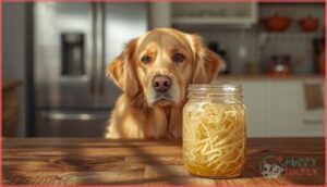 can dogs eat sauerkraut safely can dogs eat sauerkraut safely
