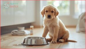 common digestive problems in puppies common digestive problems in puppies