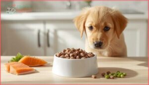 definition and key features definition and key features