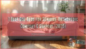 dog beds for seniors