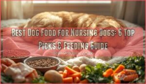 dog food for nursing dogs