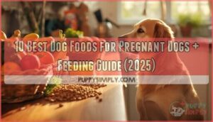 dog food for pregnant dogs dog food for pregnant dogs