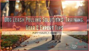 dog leash pulling solutions dog leash pulling solutions