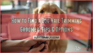 dog nail trimming how to find a groomer