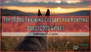dog training collars for hunting dogs
