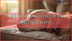 dog training collars for senior dogs