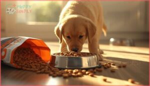 dry kibble benefits and drawbacks dry kibble benefits and drawbacks