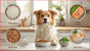 easily digestible foods easily digestible foods