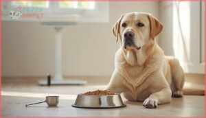 feeding guidelines and portion control for labs feeding guidelines and portion control for labs