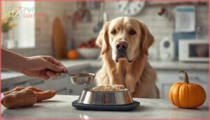 feeding guidelines for dogs with diarrhea feeding guidelines for dogs with diarrhea