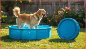 foldable and collapsible dog pools foldable and collapsible dog pools