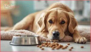 gastrointestinal upset (vomiting, diarrhea) gastrointestinal upset (vomiting, diarrhea)