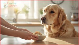 gradual reintroduction of food gradual reintroduction of food