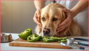 green pepper allergy and risks