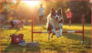 health and safety tips for active dog breeds health and safety tips for active dog breeds