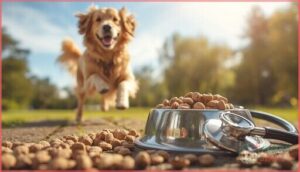 health benefits of dry dog food health benefits of dry dog food