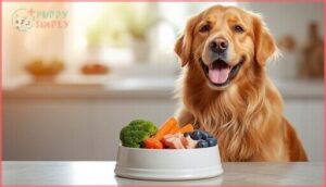 health benefits of human grade dog food health benefits of human grade dog food