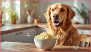 health benefits of sauerkraut for dogs health benefits of sauerkraut for dogs