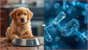how large-breed puppy foods differ how large-breed puppy foods differ