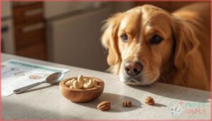 how much nut is safe for dogs