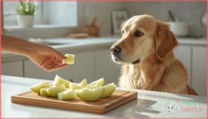 how to introduce honeydew melon to your dog's diet how to introduce honeydew melon to your dog's diet