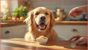 how to introduce sauerkraut to your dog’s diet how to introduce sauerkraut to your dog’s diet