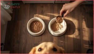 how to safely switch dog foods how to safely switch dog foods