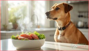 importance of high-quality protein importance of high-quality protein