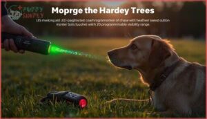 led light markers for consistent communication led light markers for consistent communication