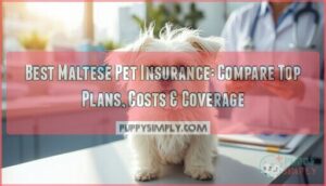 maltese pet insurance