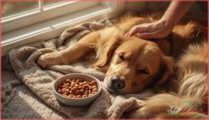 managing feeding challenges during cancer managing feeding challenges during cancer