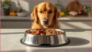 mixing wet and dry dog food mixing wet and dry dog food