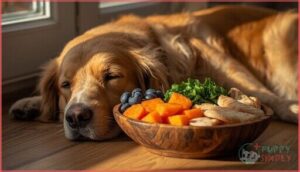 nutritional considerations for senior dogs nutritional considerations for senior dogs