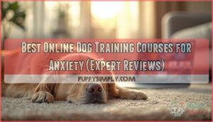 online dog training courses for anxiety online dog training courses for anxiety