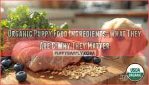 organic puppy food ingredients organic puppy food ingredients