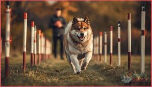 progression models to increase challenge progression models to increase challenge