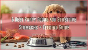 puppy food for sensitive stomachs puppy food for sensitive stomachs